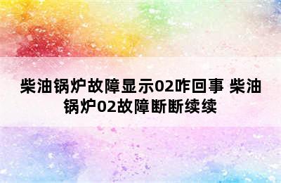 柴油锅炉故障显示02咋回事 柴油锅炉02故障断断续续